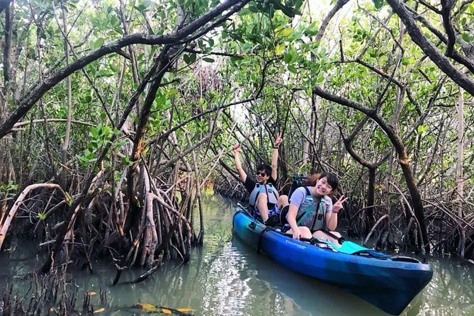Thousand Island Mangrove Tunnel, Manatee & Dolphin Kayak Tour w/Cocoa Kayaking - Choosing the right time and season
