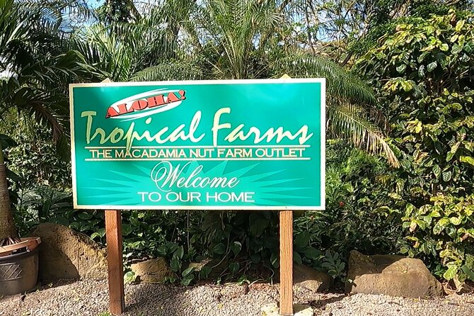 Tour of North Shore & Waimea Waterfall - North Shore food and farm stops