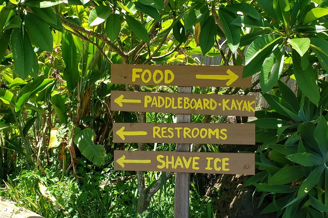 Tour of North Shore & Waimea Waterfall - Dole Plantation and Nuʻuanu Pali