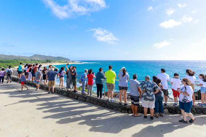 Tour of North Shore & Waimea Waterfall - Waimanalo, Makapuʻu, and Chinaman’s Hat
