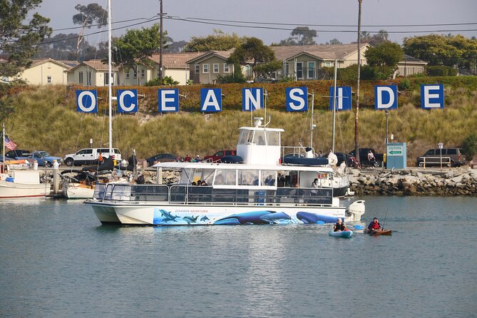 Two-Hour Luxury Whale Watching Tour from Oceanside - The marine naturalist narration adds real value