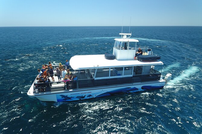 Two-Hour Luxury Whale Watching Tour from Oceanside - What the four listed stops really mean