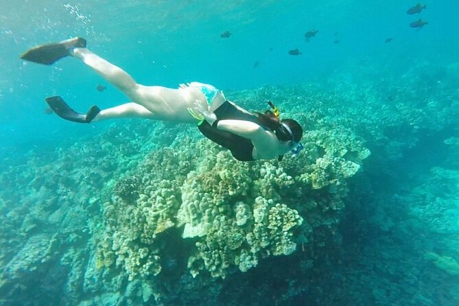 Two Reef Snorkel Trip-See Captain Cook Monument & Sea Caves - First stop: clear water at Kealakekua Bay