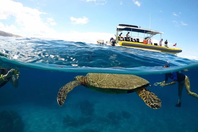 Ultimate 4 Hour Lanai Snorkel and Dolphin Encounter - Leaving Lahaina for Lanai at 9 a.m.