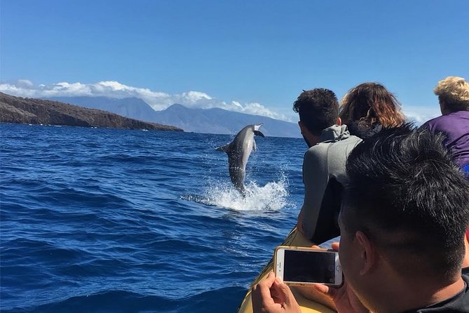 Ultimate 4 Hour Lanai Snorkel and Dolphin Encounter - Returning to Maui for turtles and reef sharks