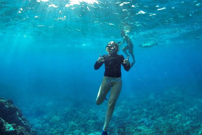 Ultimate 4 Hour Lanai Snorkel and Dolphin Encounter - Snacks, drinks, and what to bring