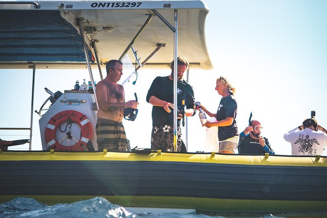 Ultimate 4 Hour Lanai Snorkel and Dolphin Encounter - Should you book the Lanai snorkel trip?