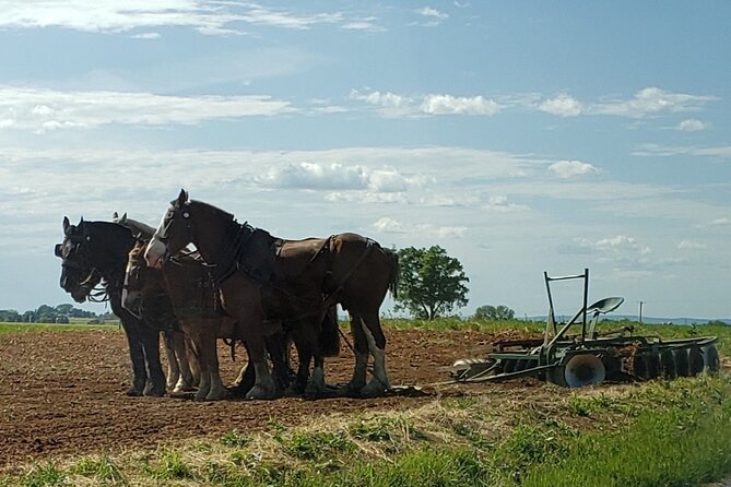 Unique Amish Immersion in Lancaster - The creamery stop and the sweet finish