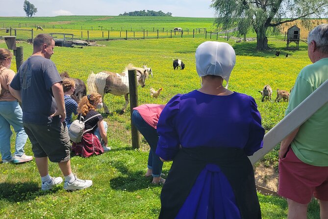 Unique Amish Immersion in Lancaster - Is $99 a fair price?