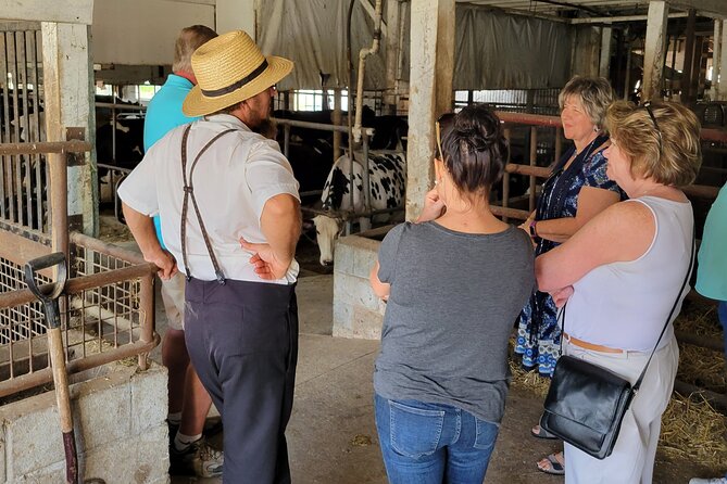 Unique Amish Immersion in Lancaster - What the guides add to the experience