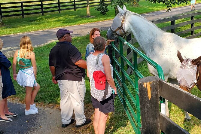 Unique Horse Farm Tours with Insider Access to Private Farms - KatieRich Farms brings you close to the horses
