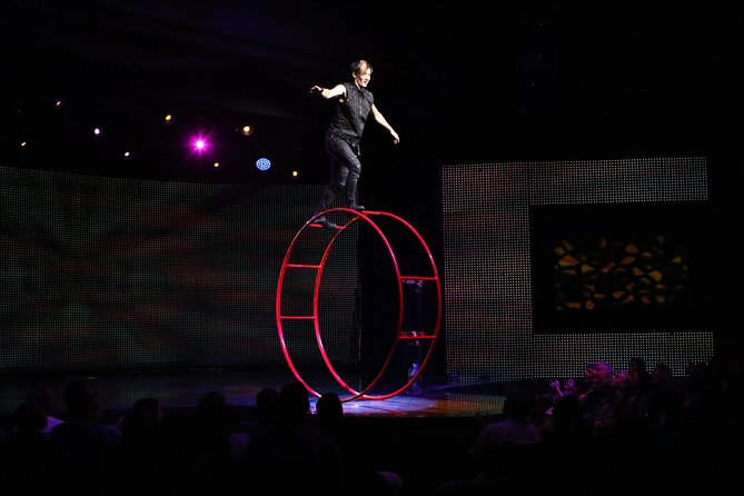V - The Ultimate Variety Show at Planet Hollywood Resort and Casino - Key points to know before booking