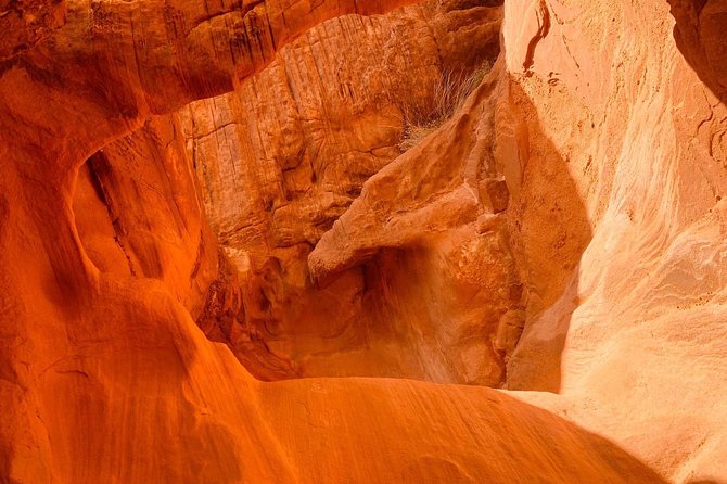 Valley of Fire Tour - Heat, timing, and practical comfort