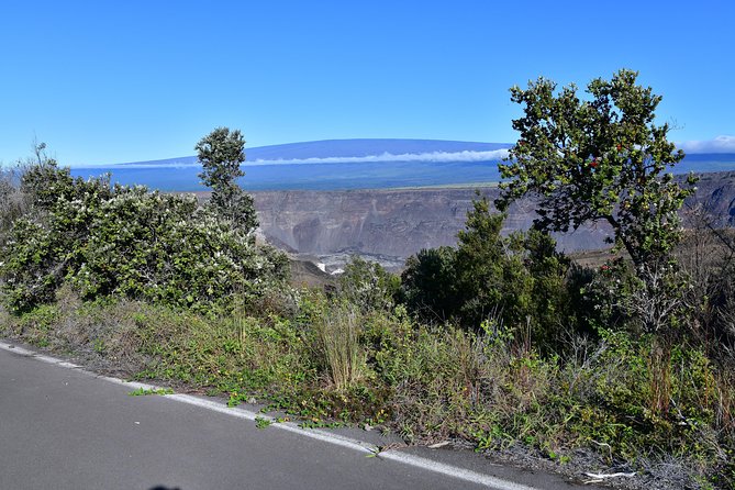Volcano National Park Adventure From Kona - Kona coffee with a working farm visit