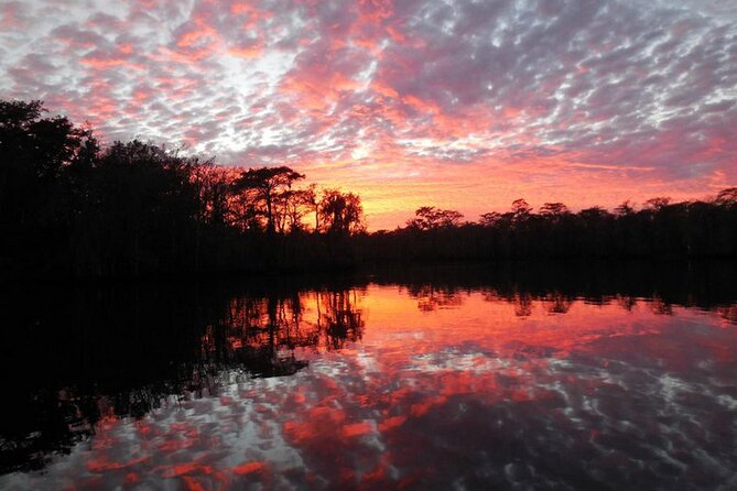 Waccamaw River Nature and Wildlife Tour - Is the Waccamaw River Nature and Wildlife Tour worth booking?
