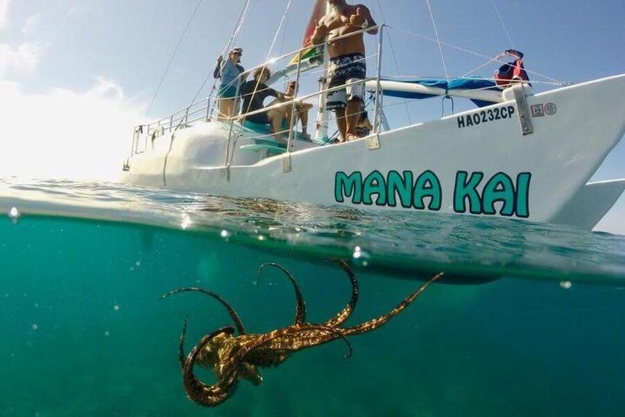 Waikiki Beach: Turtle Snorkeling and Sailing on Hāwea - The sail back along Waikiki