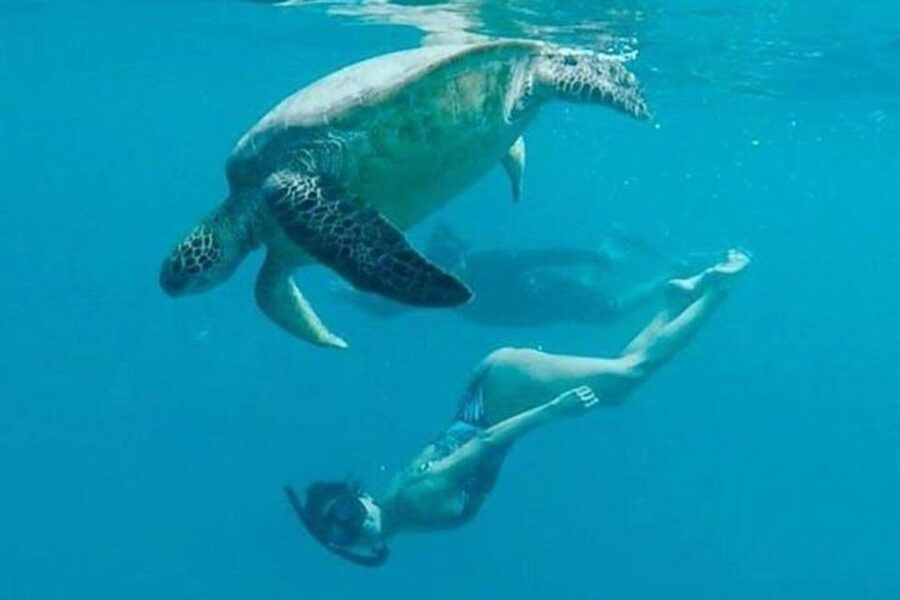 Waikiki Beach: Turtle Snorkeling and Sailing on Hāwea - Small details that improve the experience