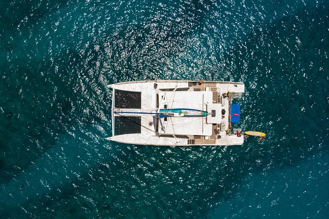 Waikiki Catamaran Snorkel Sail with Lunch: Turtles Guaranteed - Who will get the most from this cruise?