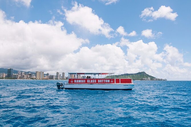 Waikiki Glass Bottom Boat Cruise - Weather, timing, and the odds of seeing wildlife