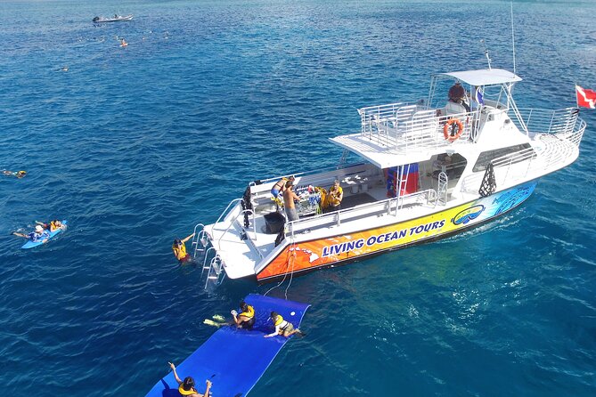 Waikiki, Hawaii: Turtle Canyon Snorkel Excursion - Why Turtle Canyon makes a good Waikiki outing