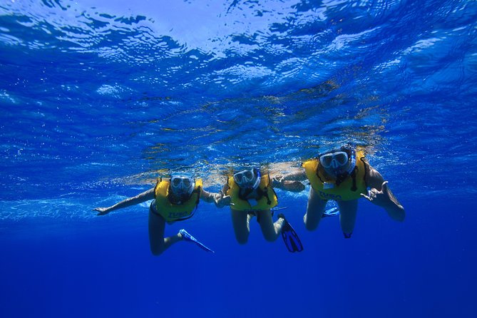 Waikiki, Hawaii: Turtle Canyon Snorkel Excursion - Snorkeling with turtles and reef fish