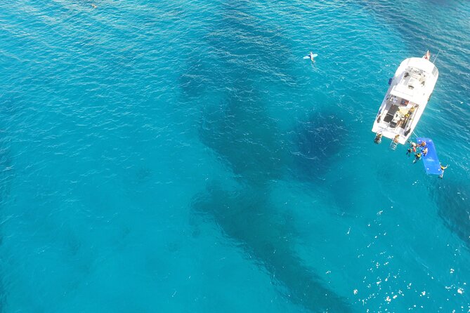 Waikiki, Hawaii: Turtle Canyon Snorkel Excursion - What the two-hour schedule really gives you