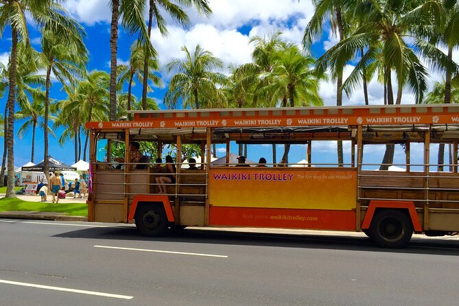 Waikiki Trolley Blue Line Coastline & Local Grindz Hop-on Hop-off - Sea Life Park and Makapuʻu offer the biggest choice