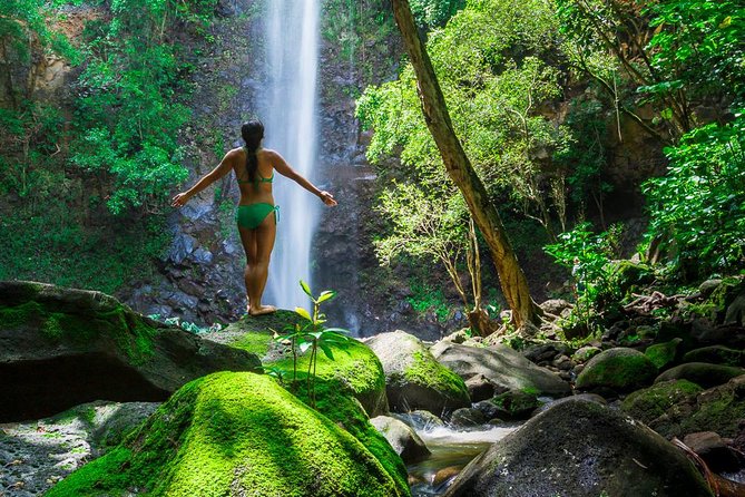 Wailua River Kayak and Sacred Falls Guided Hike with Lunch - Why the Wailua River is the right setting