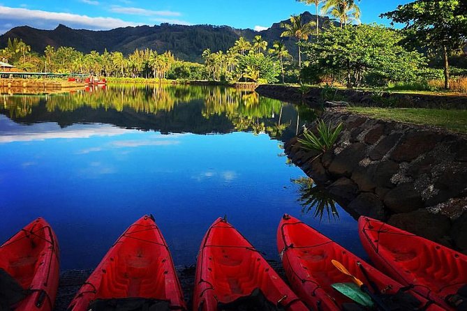 Wailua River & Waterfalls Kayak Tour: Expert-Guided Adventure - Why the Wailua River makes a fine starting point
