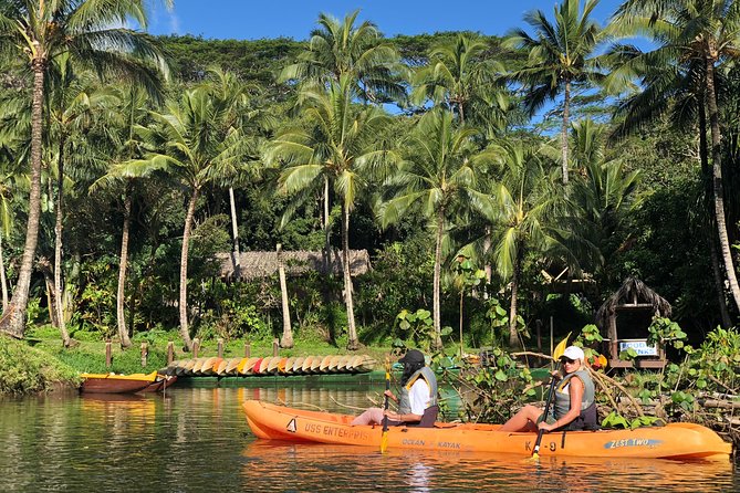 Wailua River & Waterfalls Kayak Tour: Expert-Guided Adventure - Reaching 110-foot Uluwehi Falls