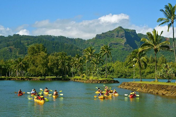 Wailua River & Waterfalls Kayak Tour: Expert-Guided Adventure - Lunch beside the waterfall
