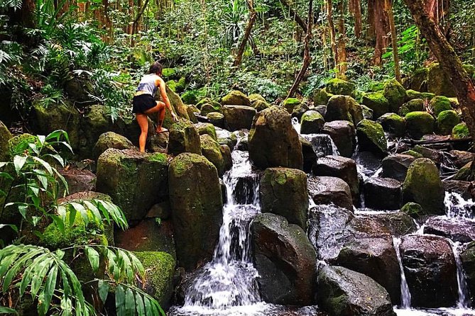 Wailua River & Waterfalls Kayak Tour: Expert-Guided Adventure - How to prepare for a better day