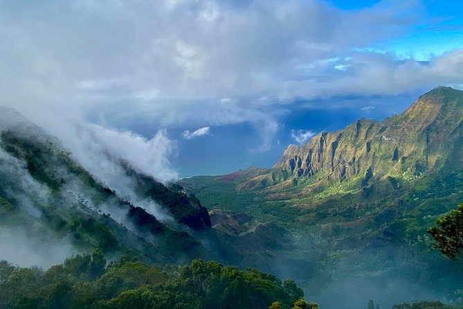 Waimea Canyon Downhill Bike Ride - Kokeʻe State Park and the high-country stops