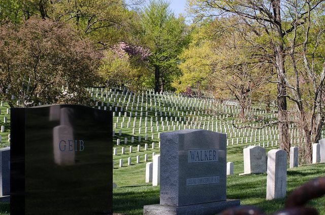 Washington DC: Arlington Nat. Cemetery Ticket & Tram Tour - Why the trolley is the right introduction to Arlington