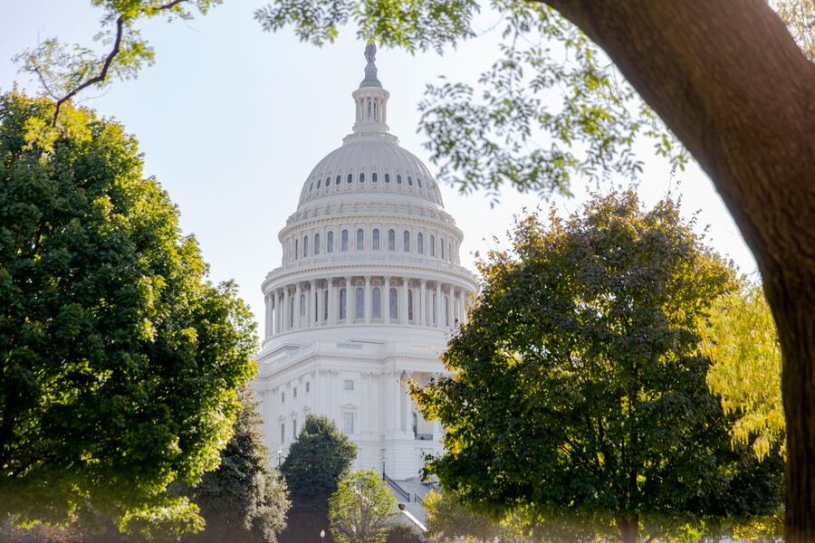 Washington DC: Bus Tour to the Highlights of the Capital - Guides, drivers, and the bus itself