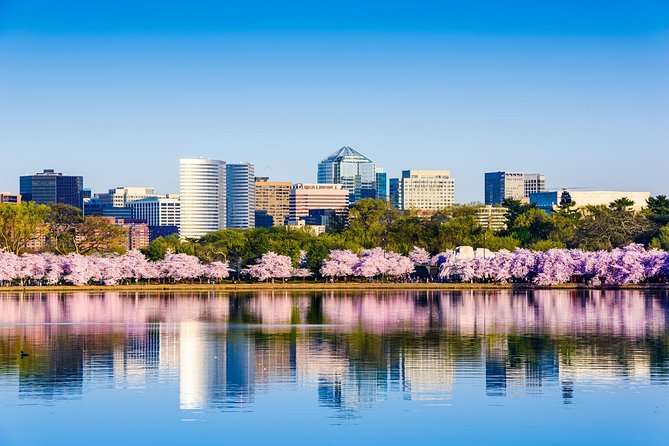 Washington DC & Philadelphia 1-Day Guided Tour from NYC - Food, comfort, and the long ride home