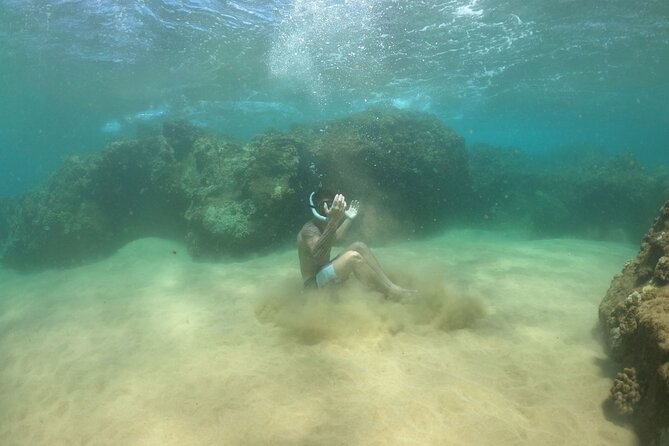 Water Bike Tour in South Maui - Quick points before you book