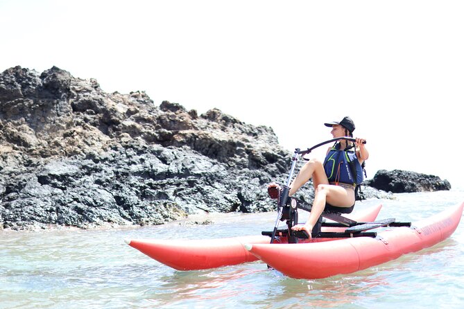 Water Bike Tour in South Maui - Looking for reef fish, turtles, whales, and dolphins