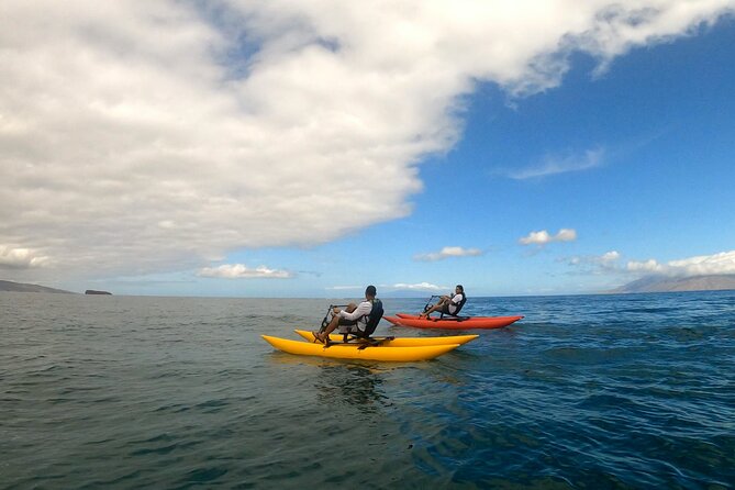 Water Bike Tour in South Maui - Who will enjoy this most?