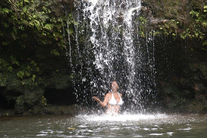 Waterfall & Rainforest Hiking Adventure with Hotel Pickup - A waterfall day beyond the roadside stops