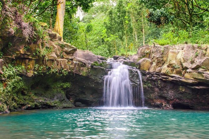 Waterfall & Rainforest Hiking Adventure with Hotel Pickup - Lunch beside the tropical pool