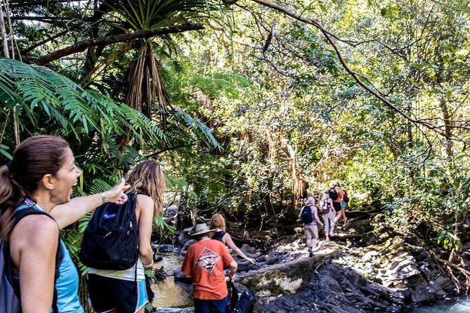 Waterfall & Rainforest Hiking Adventure with Hotel Pickup - Guides make the difference