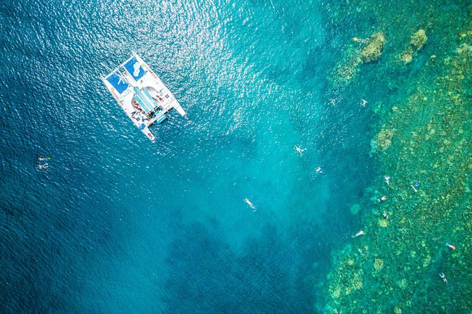West Maui Afternoon Snorkel from Ka’anapali Beach - Key points to know before booking