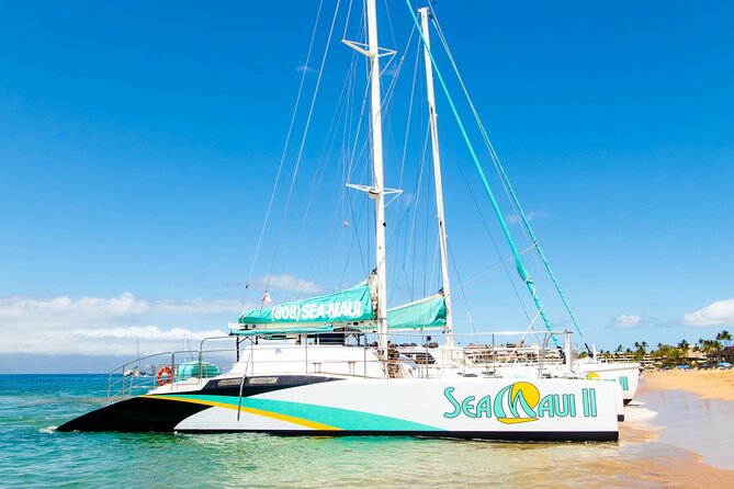 West Maui Afternoon Snorkel from Ka’anapali Beach - Sea turtles and the marine life you might see