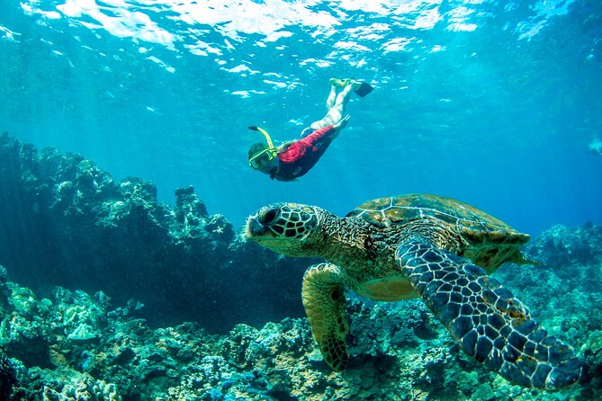 West Maui Afternoon Snorkel from Ka’anapali Beach - Is $156.16 a good value?