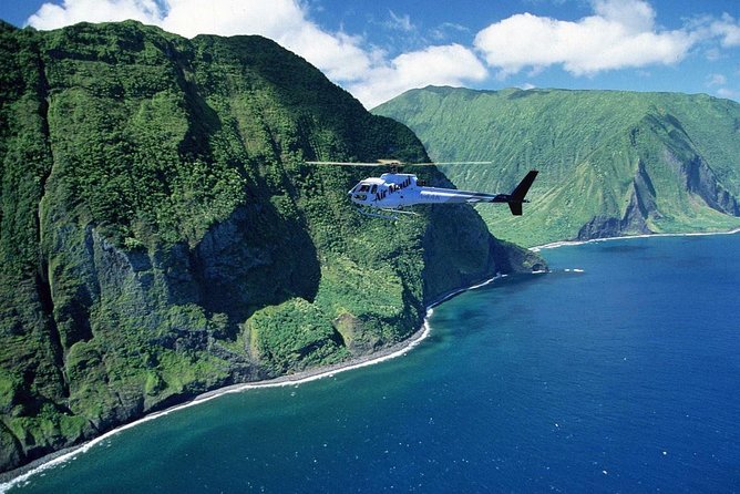 West Maui and Molokai Special 45-Minute Helicopter Tour - Is $332.67 a good value?