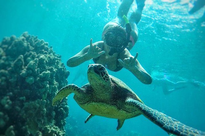 West Maui Half Day Snorkel from Ka’anapali Beach - What you can see below the surface
