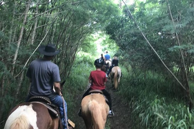 West Maui Mountain Waterfall and Ocean Tour via Horseback - Clothing, dust, mud, and saddle comfort
