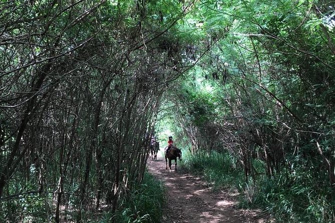 West Maui Mountain Waterfall and Ocean Tour via Horseback - The petting zoo is a bonus, especially for families