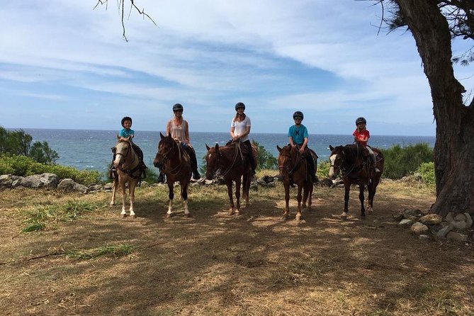 West Maui Mountain Waterfall and Ocean Tour via Horseback - Is $187.50 a fair price?